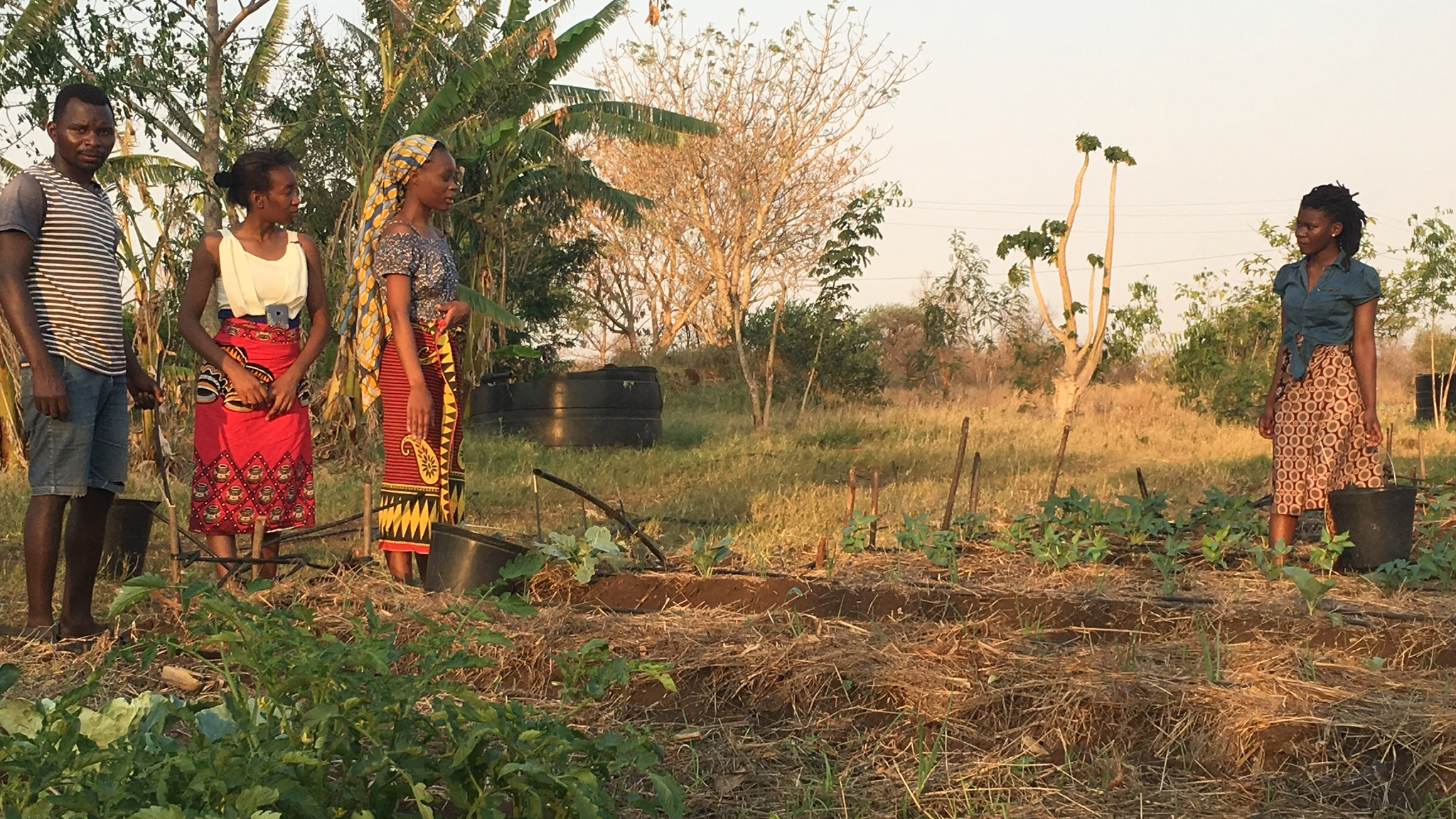 7bdfbcd2-d7ad-4507-bb55-31fcb5c16fc7